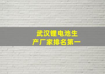 武汉锂电池生产厂家排名第一