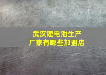 武汉锂电池生产厂家有哪些加盟店