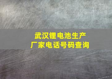 武汉锂电池生产厂家电话号码查询