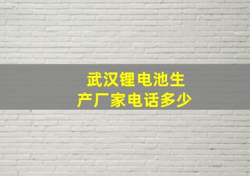 武汉锂电池生产厂家电话多少