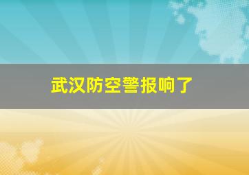 武汉防空警报响了