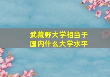 武藏野大学相当于国内什么大学水平