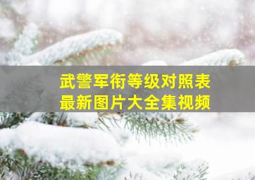 武警军衔等级对照表最新图片大全集视频