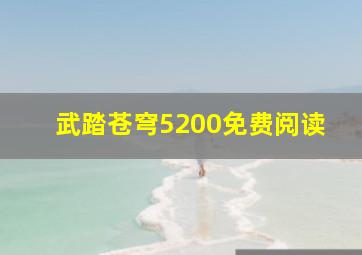 武踏苍穹5200免费阅读