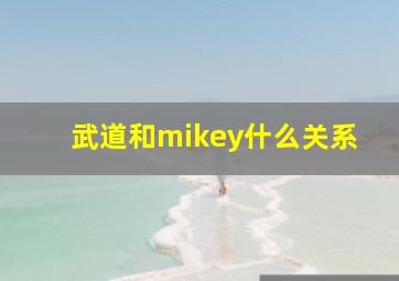 武道和mikey什么关系