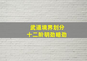 武道境界划分十二阶明劲暗劲