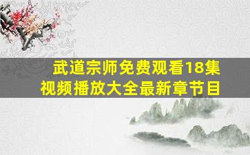 武道宗师免费观看18集视频播放大全最新章节目