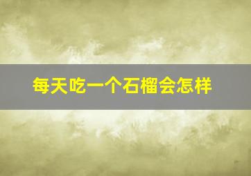 每天吃一个石榴会怎样