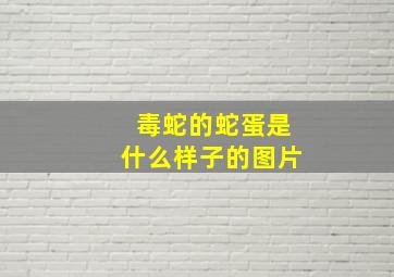 毒蛇的蛇蛋是什么样子的图片