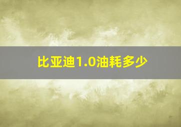 比亚迪1.0油耗多少