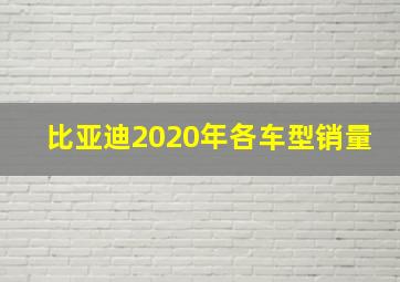 比亚迪2020年各车型销量