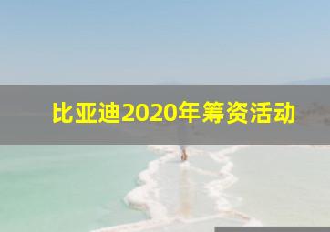 比亚迪2020年筹资活动