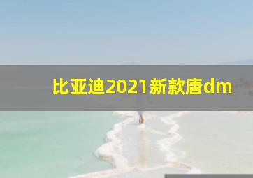 比亚迪2021新款唐dm