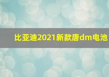 比亚迪2021新款唐dm电池