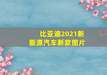 比亚迪2021新能源汽车新款图片