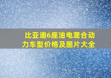 比亚迪6座油电混合动力车型价格及图片大全