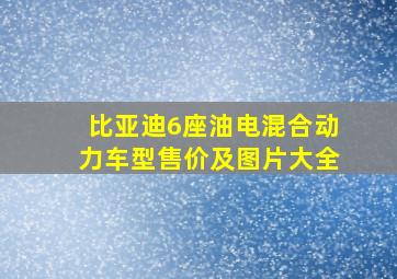 比亚迪6座油电混合动力车型售价及图片大全