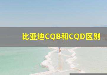 比亚迪CQB和CQD区别