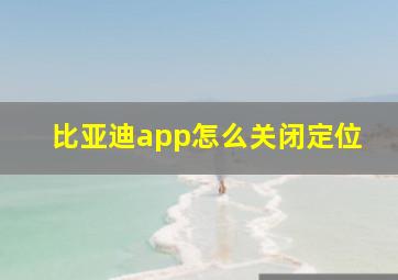 比亚迪app怎么关闭定位