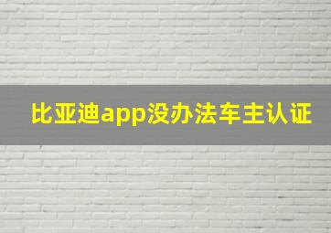 比亚迪app没办法车主认证