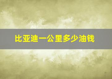 比亚迪一公里多少油钱