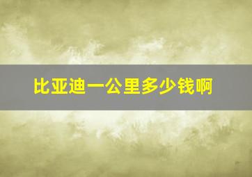 比亚迪一公里多少钱啊