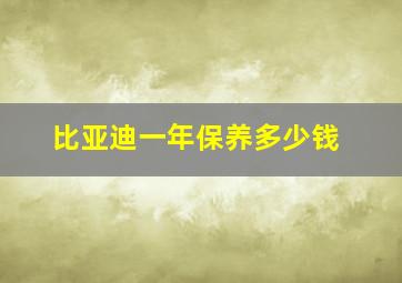 比亚迪一年保养多少钱