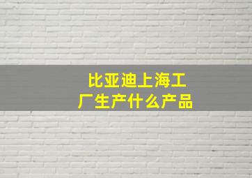 比亚迪上海工厂生产什么产品