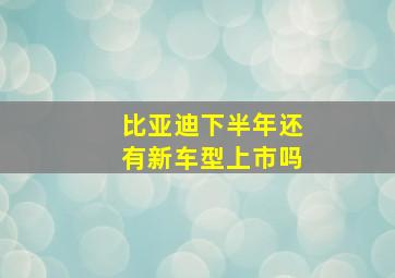 比亚迪下半年还有新车型上市吗