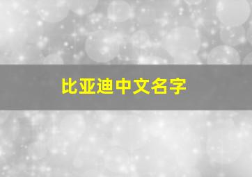 比亚迪中文名字