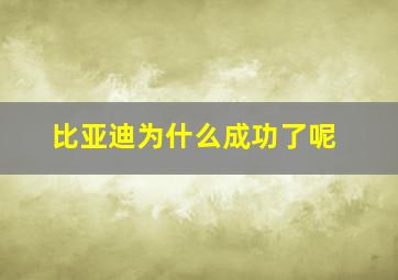 比亚迪为什么成功了呢