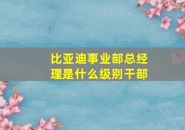 比亚迪事业部总经理是什么级别干部