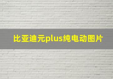 比亚迪元plus纯电动图片