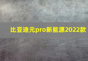 比亚迪元pro新能源2022款