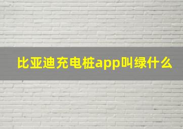 比亚迪充电桩app叫绿什么