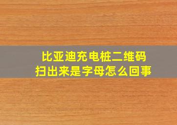 比亚迪充电桩二维码扫出来是字母怎么回事