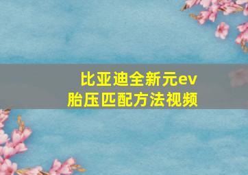 比亚迪全新元ev胎压匹配方法视频