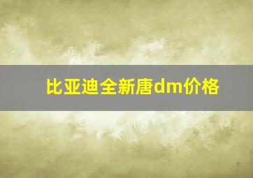 比亚迪全新唐dm价格