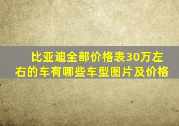 比亚迪全部价格表30万左右的车有哪些车型图片及价格