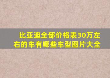 比亚迪全部价格表30万左右的车有哪些车型图片大全