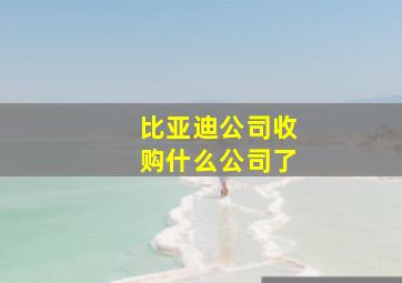 比亚迪公司收购什么公司了