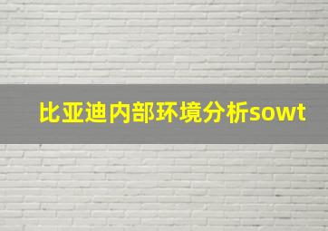 比亚迪内部环境分析sowt