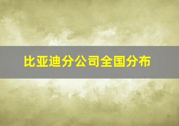 比亚迪分公司全国分布