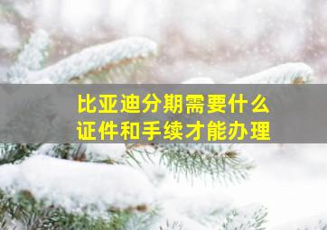 比亚迪分期需要什么证件和手续才能办理