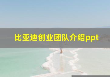 比亚迪创业团队介绍ppt