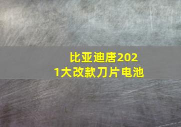 比亚迪唐2021大改款刀片电池