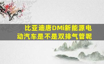 比亚迪唐DMi新能源电动汽车是不是双排气管呢