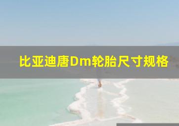 比亚迪唐Dm轮胎尺寸规格