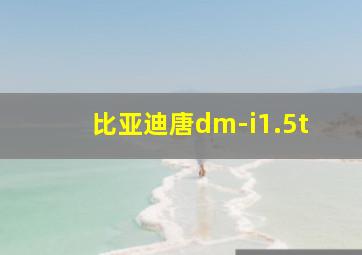 比亚迪唐dm-i1.5t