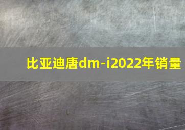 比亚迪唐dm-i2022年销量